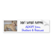 Don't Support Puppymills -- Straggles Bumper Sticker