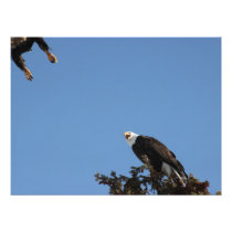 Don't Tread on Me Photographic Print