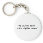 Don't you dare erase my hard drive! keychains