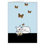 Doodle Cat Greeting Cards