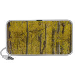 Doodle Speaker Colorado Aspens