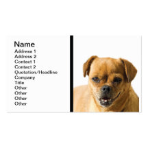 Doogy Business Card Template