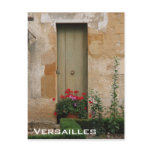 Door In Versailles Postcard