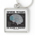 Dopamine Pathways For Reward & Movement keychains