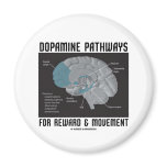 Dopamine Pathways For Reward & Movement magnets