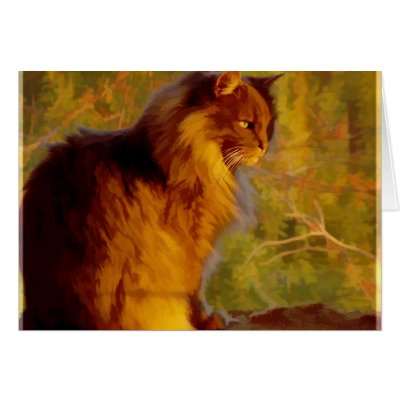 Dorian at Sunset - Card by GardenDelightsArts