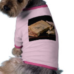 Dorset Blue Vinny (Vinney) Cheese Pet Tshirt
