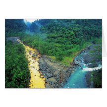 Dos Rivers # 2 Card