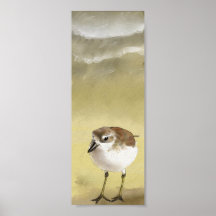 Dotteral Posters