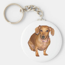 DottieDoxie Key Chain