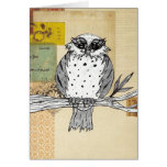Dotty the Owl 26 Greeting Card