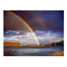 Double Bows Post Card