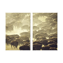 Double Canvas Set of Wild Buffalo Herd Canvas Print