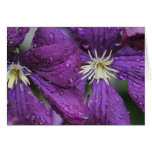 Double Clematis Card
