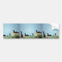 Double-crested Cormorants Nesting Bumper Sticker