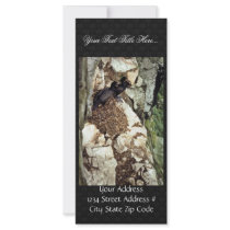 Double-crested Cormorants Nesting Rack Card Design