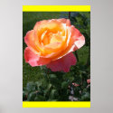 Double Delight! posters