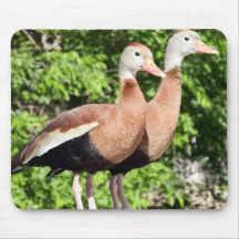 Double Ducks Mousepad