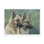 "Double Duty" German Shepherd Art Postcards