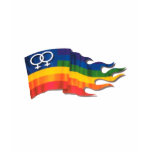 Double Female Pride Flag t-shirts