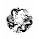 Double Fighting Chinese Dragon Tee t-shirts