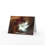 Double Magnolia, Thinking of you cards