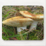 Double Mushroom Mousepad