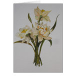 Double Narcissi Cards