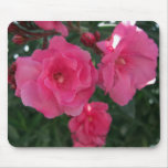 Double Oleander 2 Mouse Pads