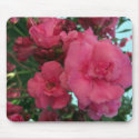 Double Oleander 4 mousepads