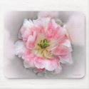 Double Pink Beauty mousepads