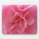 Double Pink Camillia IMG_0614 Mousepads
