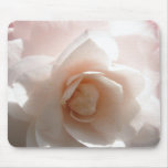 Double Pink edged Camillia IMG_0538_1 Mousepad