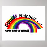 Double Rainbow Poster