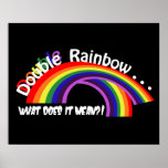 Double Rainbow Poster