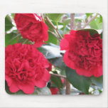 Double Red Camellias Mousepad