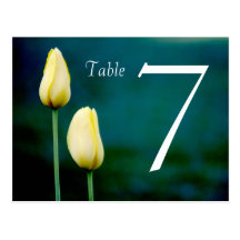 Double Sided Tulip table card Post Cards