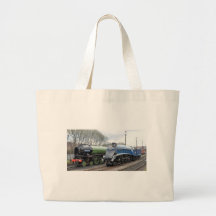 Double steam bag