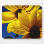 Double Sunflower Mousepad