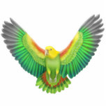 Double Yellow Headed Amazon Parrot Ornament Acrylic Cut Out