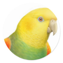 Double Yellow Headed Amazon Sticker