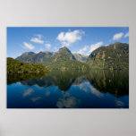 Doubtful Sound Print