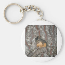 Douglas' Squirrel, Oregon Cascades Keychains