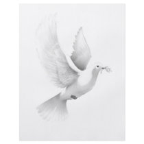 dove flyer design