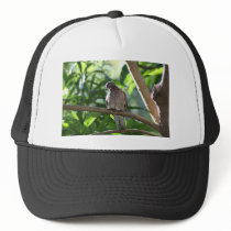 Dove II Trucker Hat