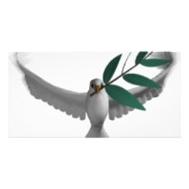 Dove-olivebranch