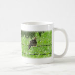 Dove on a Wire Mugs