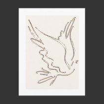 Dove Outline Postcard