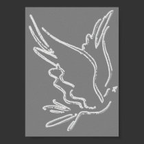 Dove posters