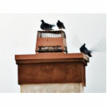 Doves With Birds photo sculptures